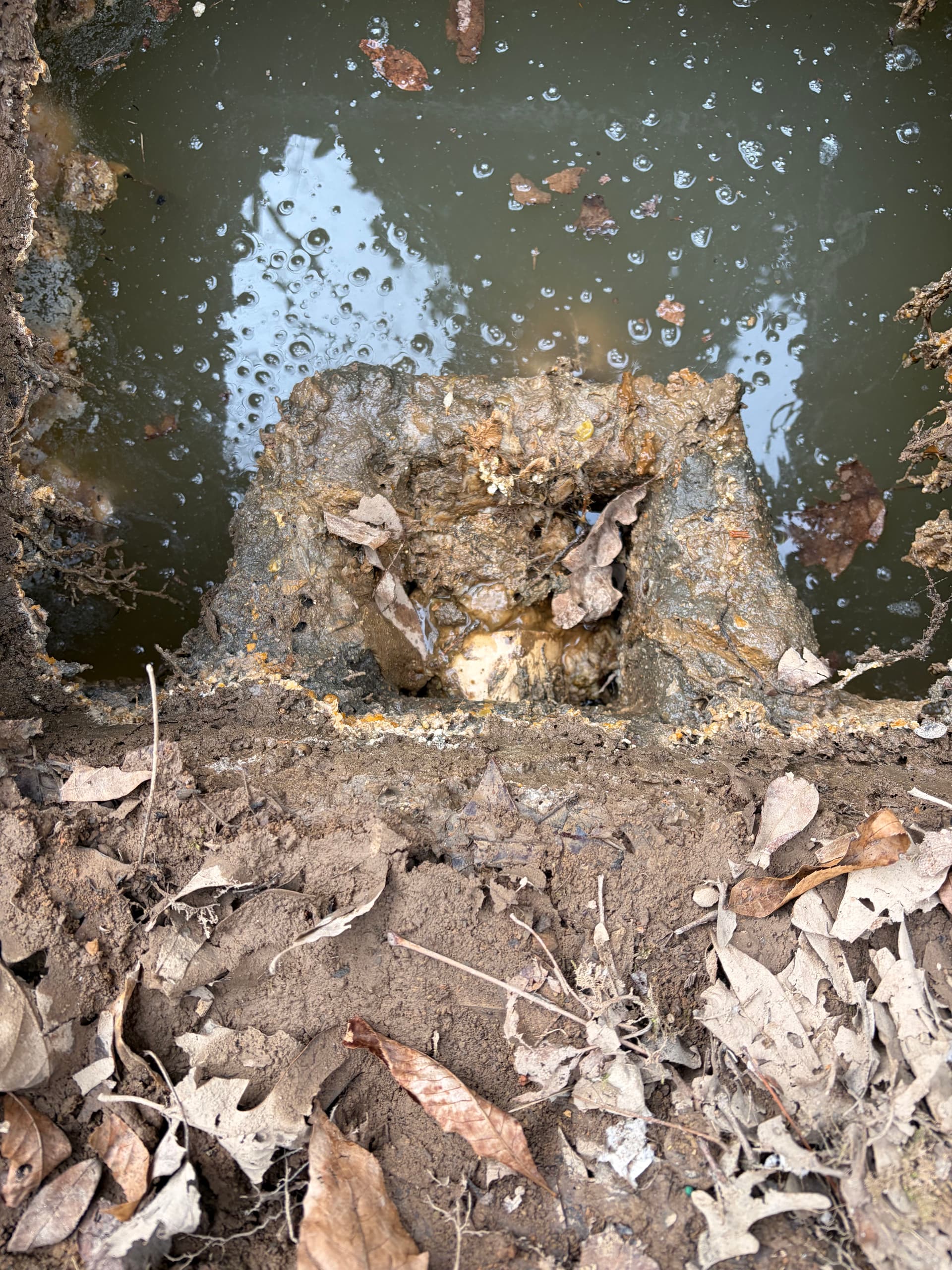 Clearing Multiple Clogs for Free-Flowing Sewers image