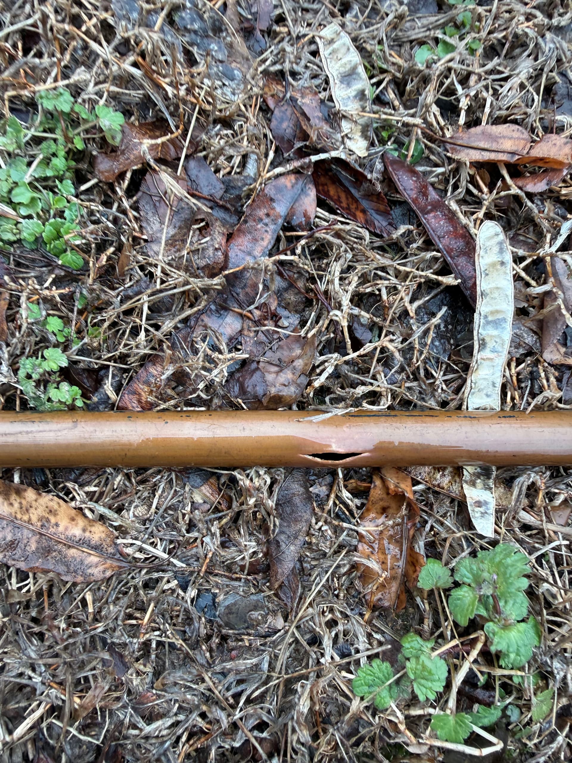 Prepare Your Pipes for Fall with X-Stream Drain & Excavating image