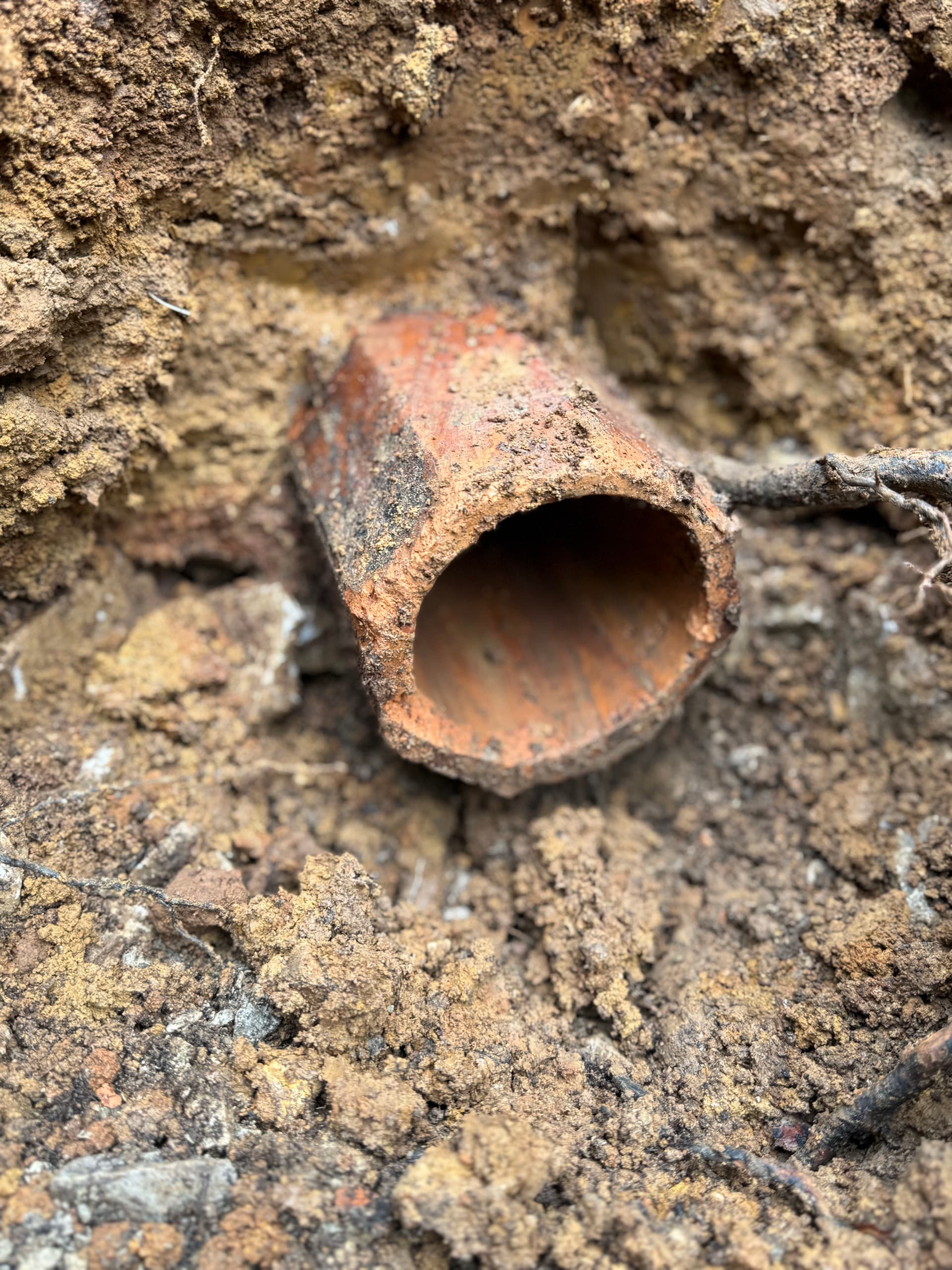 Discovering History During a Sewer Repair image